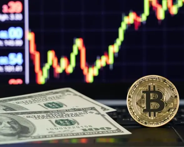 Trading success through Immediate Flik software